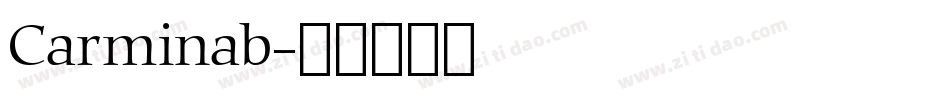Carminab字体转换