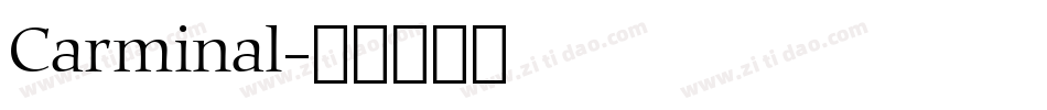 Carminal字体转换