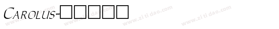 Carolus字体转换