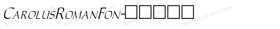 CarolusRomanFon字体转换