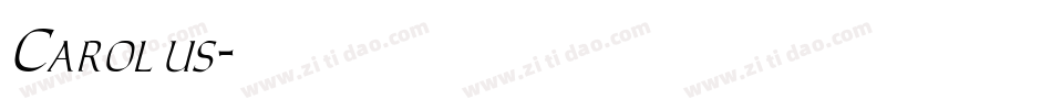 Carolus字体转换