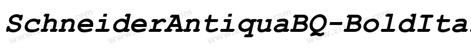 SchneiderAntiquaBQ-BoldItalic字体转换