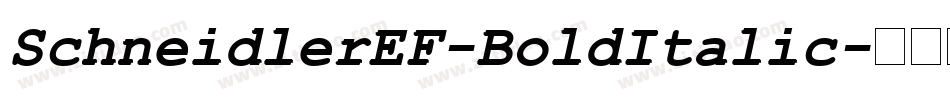 SchneidlerEF-BoldItalic字体转换