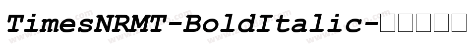 TimesNRMT-BoldItalic字体转换