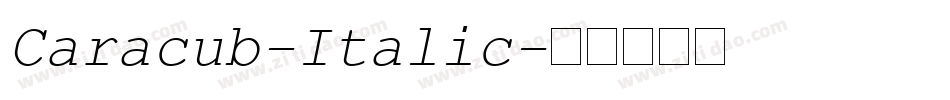 Caracub-Italic字体转换