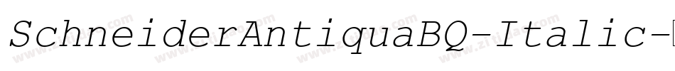 SchneiderAntiquaBQ-Italic字体转换