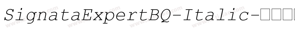 SignataExpertBQ-Italic字体转换