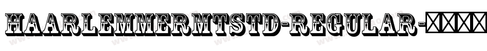 HaarlemmerMTStd-Regular字体转换