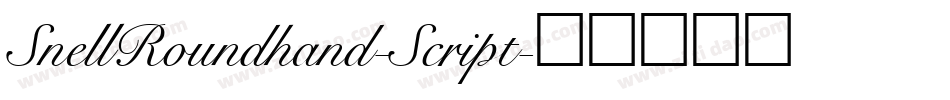 SnellRoundhand-Script字体转换