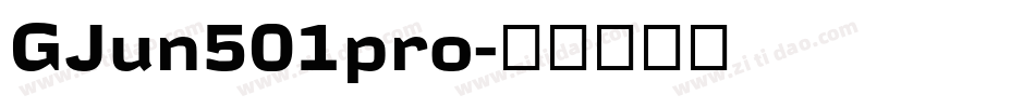 GJun501pro字体转换