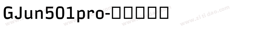 GJun501pro字体转换