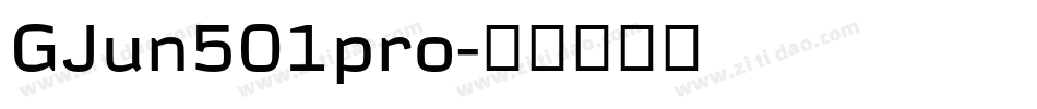 GJun501pro字体转换