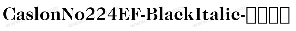 CaslonNo224EF-BlackItalic字体转换