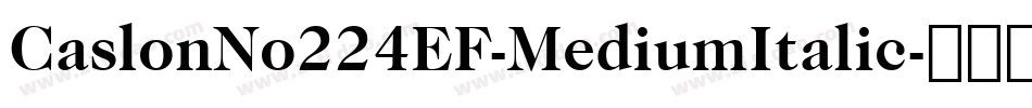 CaslonNo224EF-MediumItalic字体转换