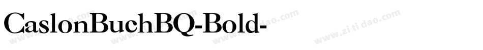 CaslonBuchBQ-Bold字体转换