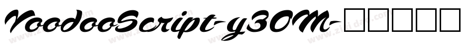 VoodooScript-y3OM字体转换