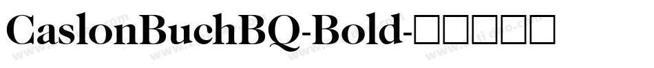 CaslonBuchBQ-Bold字体转换
