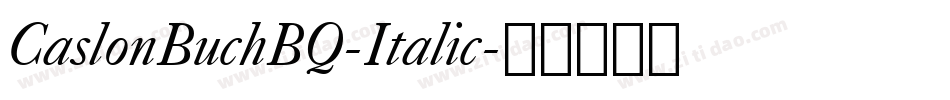 CaslonBuchBQ-Italic字体转换