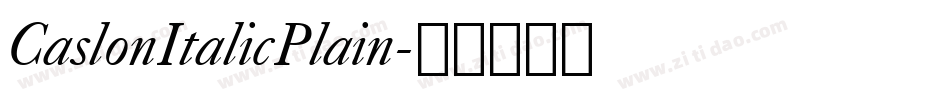 CaslonItalicPlain字体转换