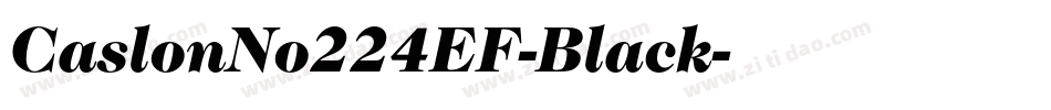 CaslonNo224EF-Black字体转换