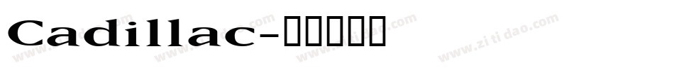 Cadillac字体转换