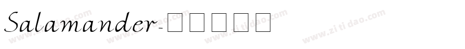 Salamander字体转换