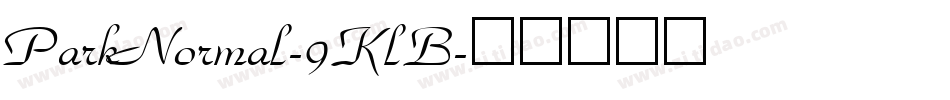 ParkNormal-9KlB字体转换