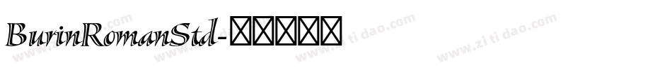 BurinRomanStd字体转换