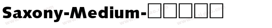 Saxony-Medium字体转换