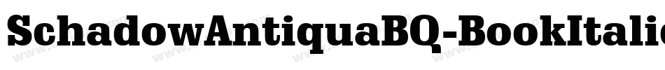 SchadowAntiquaBQ-BookItalic字体转换