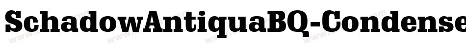 SchadowAntiquaBQ-CondensedBold字体转换