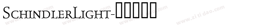 SchindlerLight字体转换
