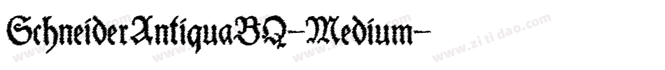 SchneiderAntiquaBQ-Medium字体转换