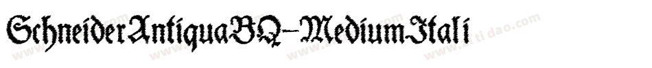 SchneiderAntiquaBQ-MediumItalic字体转换