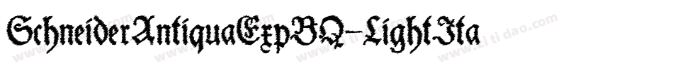 SchneiderAntiquaExpBQ-LightItalic字体转换