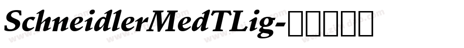 SchneidlerMedTLig字体转换