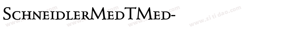 SchneidlerMedTMed字体转换