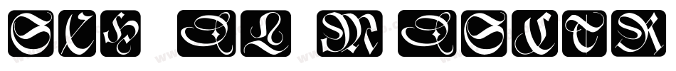 SchneidlerMedSCTReg字体转换