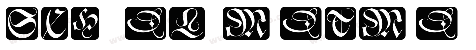 SchneidlerMedTMed字体转换