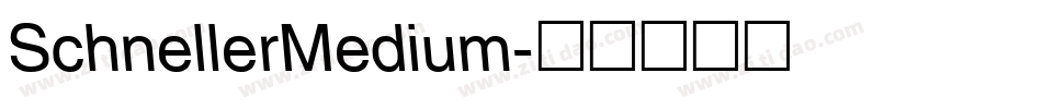 SchnellerMedium字体转换