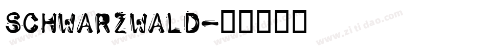 SchwarzWald字体转换