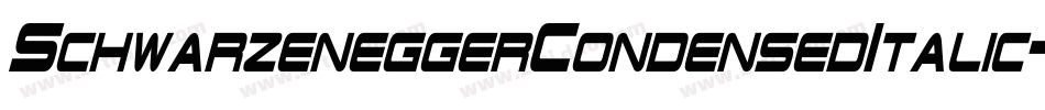 SchwarzeneggerCondensedItalic-lELe字体转换