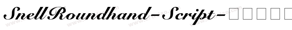 SnellRoundhand-Script字体转换