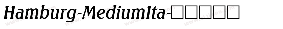 Hamburg-MediumIta字体转换