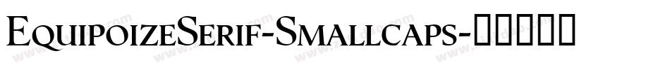 EquipoizeSerif-Smallcaps字体转换