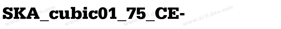 SKA_cubic01_75_CE字体转换