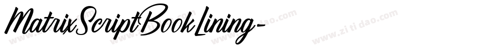 MatrixScriptBookLining字体转换