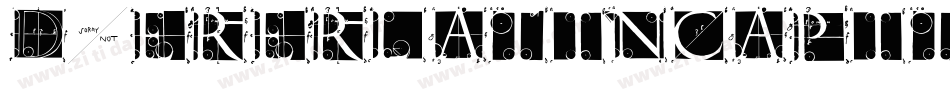 Duererlatincapitals-GlPA字体转换