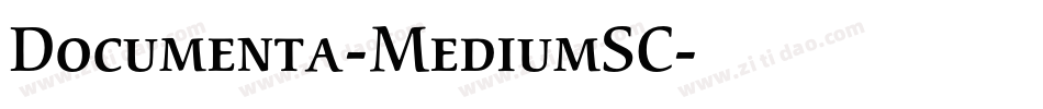 Documenta-MediumSC字体转换