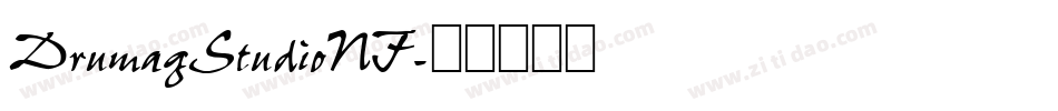 DrumagStudioNF字体转换
